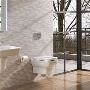 View an Extensive range of Wall hung Toilets at UK's leading