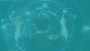 Flight Operations Software Development - Chetu Flight Operations Software Development - Chetu