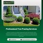 Improve Your Landscape With Professional Tree Pruning Servic