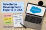 Salesforce Development Experts in USA Salesforce Development Experts in USA