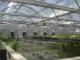 Affordable Greenhouse Solutions by Kunsheng A