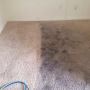 Professional Carpet Cleaning in Austin TX