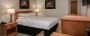 Top Family Friendly & Lodging Hotel in Springfield