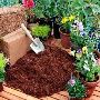 Coco coir for horticulture