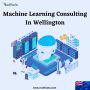 Machine Learning Consulting In Wellington