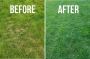 Discover The Best Lawn Consultant in Adelaide