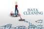 Choose Data Plus Value for Unparalleled Data Cleansing Solut