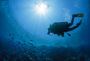 Enroll in SSI Specialty Courses in Andaman | Seahawks Scuba