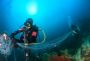 Top 15 common scuba diving problems and solutions 