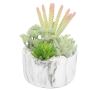 Beautify your space with artificial succulent plant