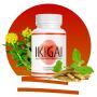 IKIGAI Weight Loss Supplement - Brand New