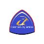 Falcon Security Services Falcon Security Services