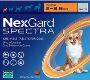 Halloween Special - Buy Seresto Collar For Cats On 15% off +