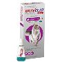 Buy Bravecto Plus for Large Cats 13.75-27.5LBS[Purple]Online