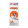 Shop Bravecto Topical For Small Dogs [9.9-22 LBS] Orange