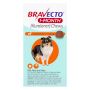 Buy Bravecto 1-Month Chew for Small Dogs 9.9-22LBS [Orange]