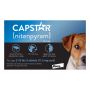 Buy Capstar for Small Dogs 2-25LBS [Blue] + Free Shipping