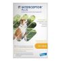 Shop Interceptor Plus Chew for Dogs 25.1-50LBS Yellow Online