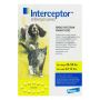 Buy Interceptor for Medium Dogs 26-50 LBS [Yellow] Online