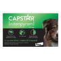 Shop Capstar for Large Dog 25.1-125LBS Green + Free Shipping