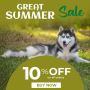 Great Summer Sale- Buy all Pet Supplies at 10% off