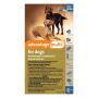 Buy Advantage Multi [Advocate] Extra Large Dogs 55.1-88LBS 