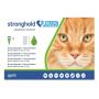 Buy Stronghold Plus for Large cats 11-24LBS Green Online