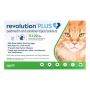 Buy Revolution Plus for Large Cats 11-22LBS Green Online