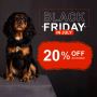 Black Friday in July Sale- Save 20% on all Pet Supplies
