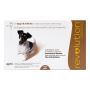 Buy Revolution Small Dogs 10.1-20LBS [Brown] Online