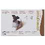 Buy Stronghold Dogs 5.1-10.0 KG [Brown] at the Best Price