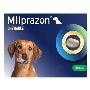 Buy Milprazon Worming Chewables for Dogs Over 11LBS Online