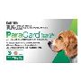 Buy Paragard Allwormer for Dogs 10KG - 22LBS Online