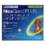 Buy Nexgard Plus for Small Dogs 8.1-17LBS Green Online
