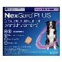 Buy Nexgard Plus for Large Dogs 33.1-66LBS [Purple] Online