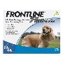 Frontline Plus Medium Dogs 23-44LBS [Blue] Online