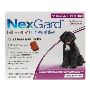 Buy Nexgard for Large Dogs 24.1-60LBS [Purple] Online