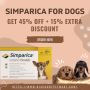Buy Simparica for Dogs and Get 45% Off