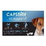 Buy Capstar for Dogs- Flea and Tick Treatment