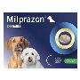 Buy Milprazon for Dogs- Worming Tablets