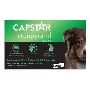 Buy Capstar for Large Dog 25.1-125LBS [Green] Online
