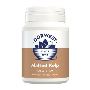 Buy Dorwest Malted Kelp Tablets for Dogs and Cats Online
