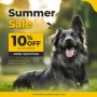 Summer Season Special! Flat 10% Off on all Pet Supplies