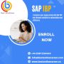 Sap IBP Online Training | Sap Integrated Business Planning 