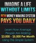 Copy & paste, turn-key business earns $100 - $500 a day