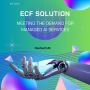 ECF Solution: Meeting the Demand for Managed AI Services