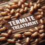 Termite Pest Removal in Sydney - EMK Termite & Pest Control