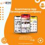 Ecommerce App Development Company | eGrovesys
