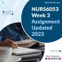  NURS6053 Week 3 Assignment 2023