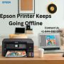 Epson Printer Keeps Going Offline | +1-844-892-5742